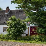 Cora * Wesselburenerkoog
