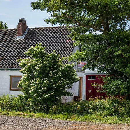 Cora * Wesselburenerkoog