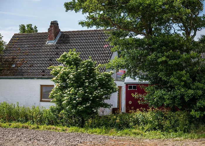 Cora * Wesselburenerkoog